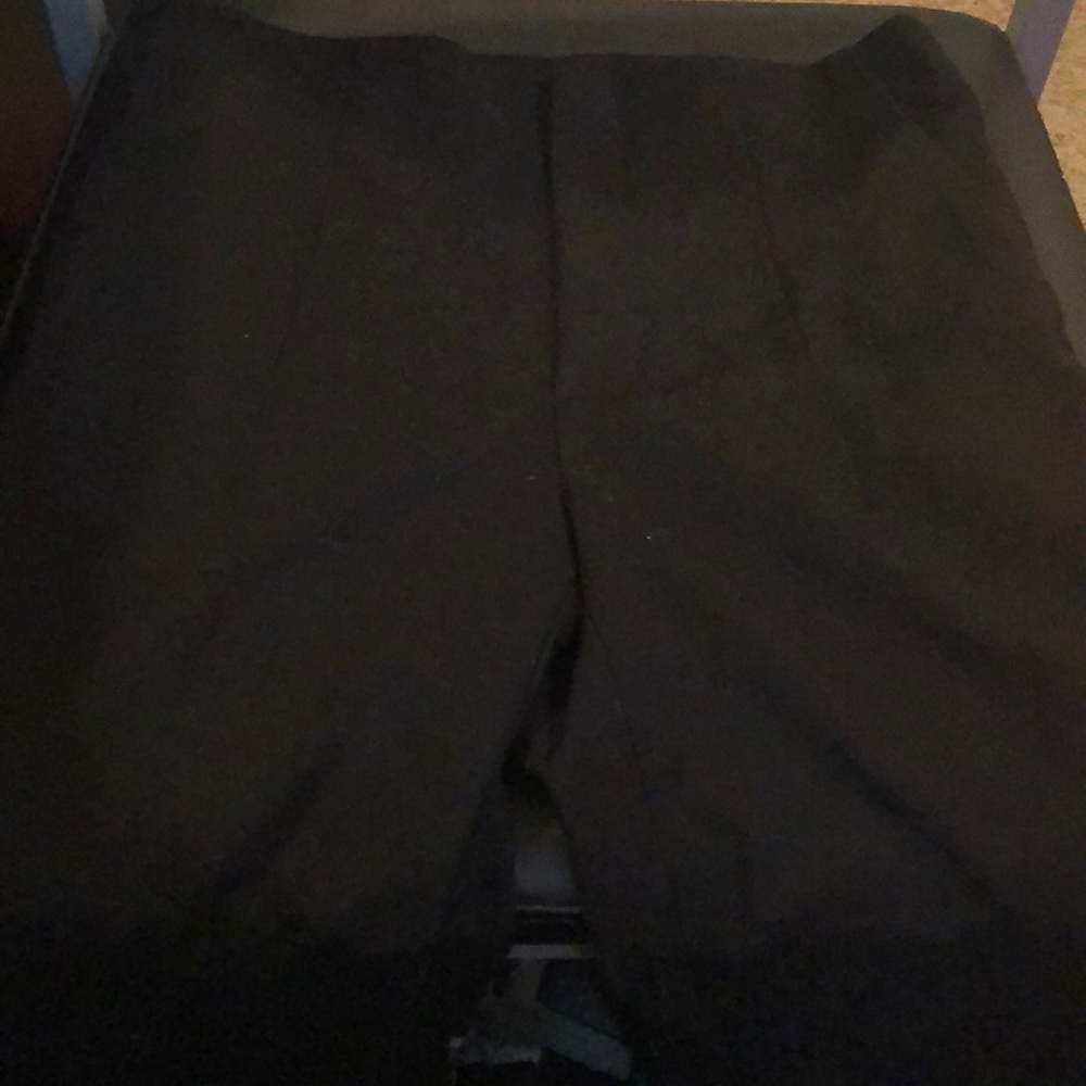 Zara pants. Never worn